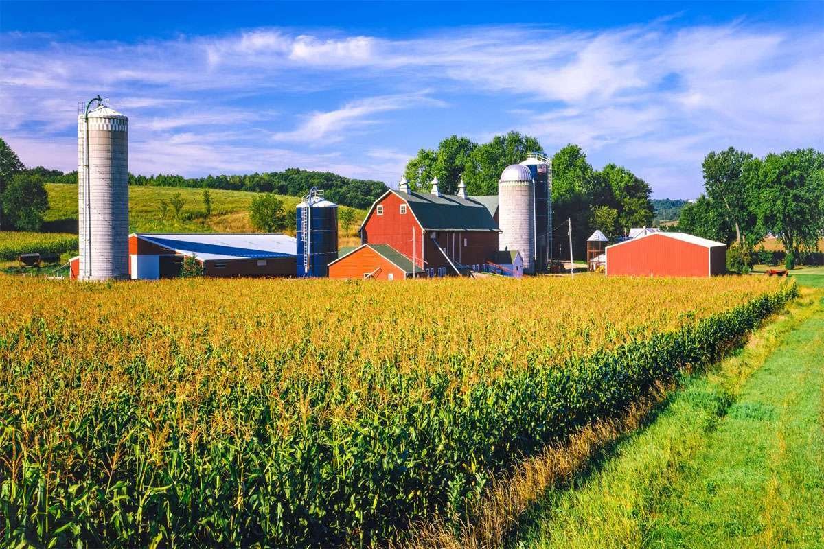 Farmland: Preserving Agricultural Heritage and Sustainable Future